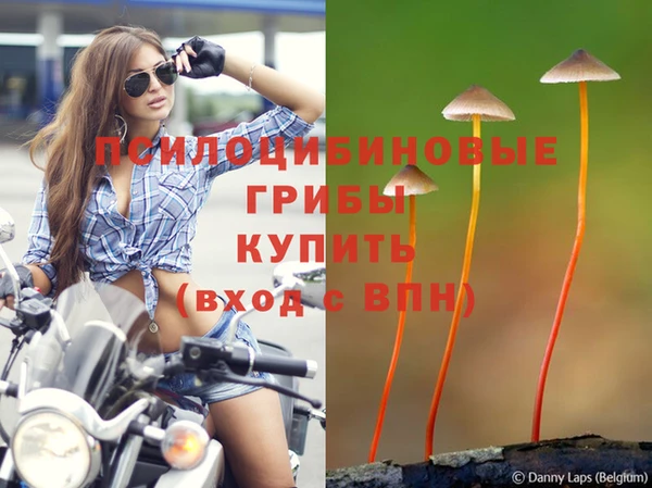 прущий лед Володарск